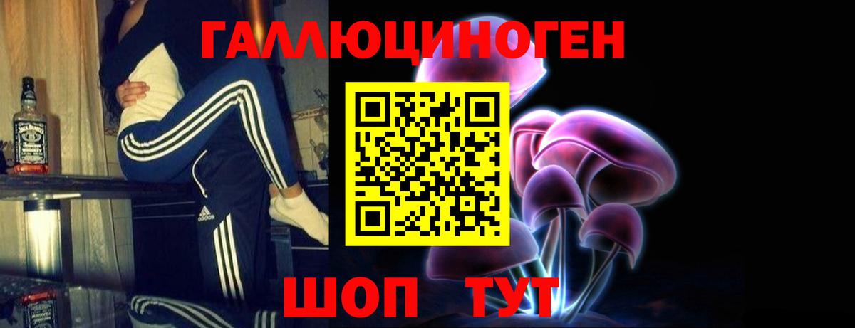 дарнет шоп  Псилоцибиновые грибы Psilocybine cubensis  Псилоцибиновые грибы мицелий  Вход с VPN  Петропавловск-Камчатский 